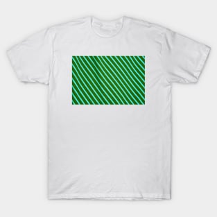 Green & Blue Stripes T-Shirt